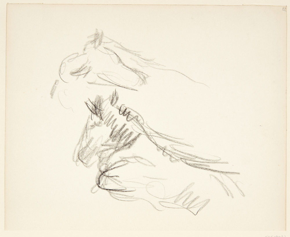 Liggende føl, Sigurd Swane, 1916