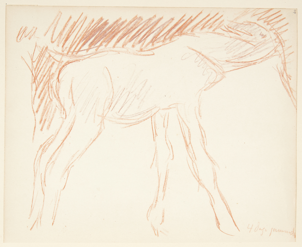 Stående føl, 4 dage gammelt, Sigurd Swane, 1916