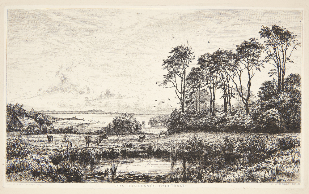 Fra Sjællands sydstrand