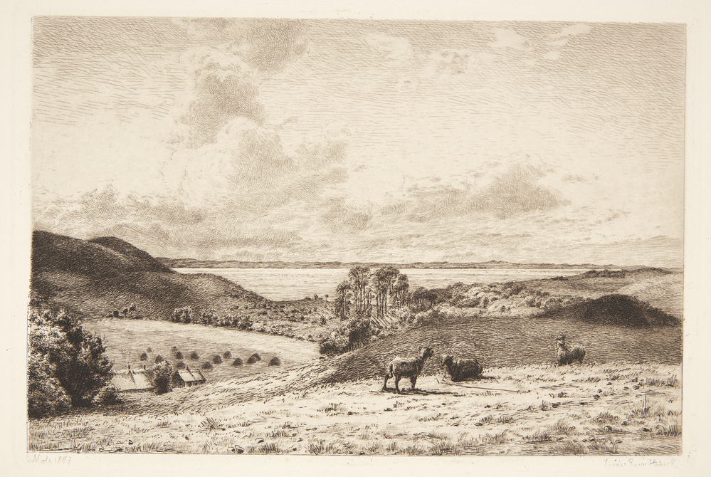 Landskab fra Mols med får