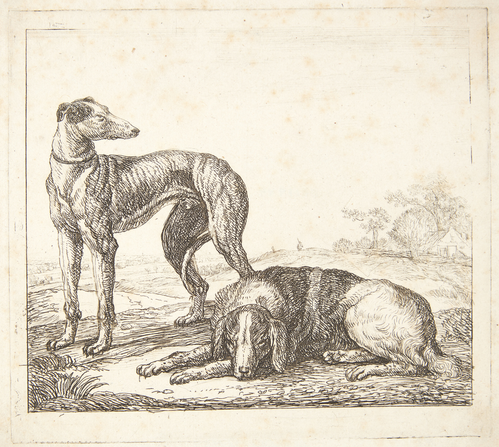 En mynde og en liggende hund