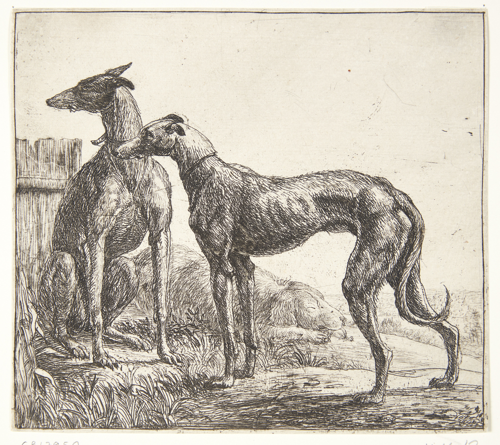 To mynder og en sovende hund