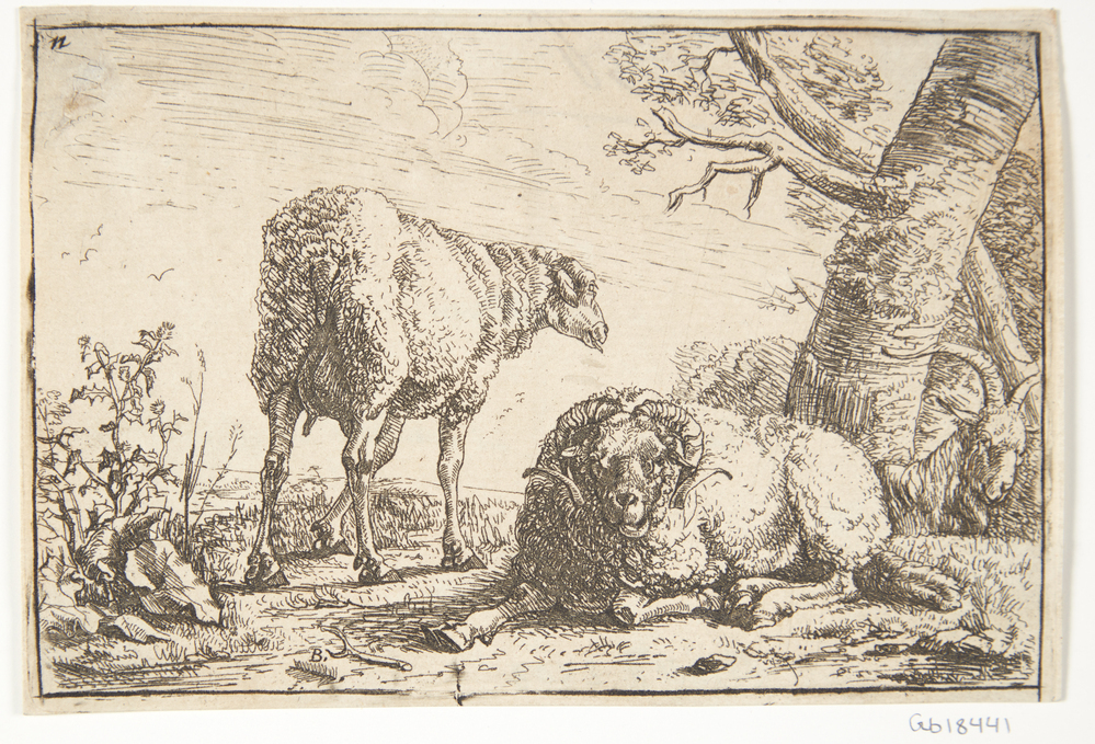 Barend Graat