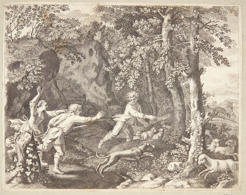 Hyrderne sender deres hunde efter ulven